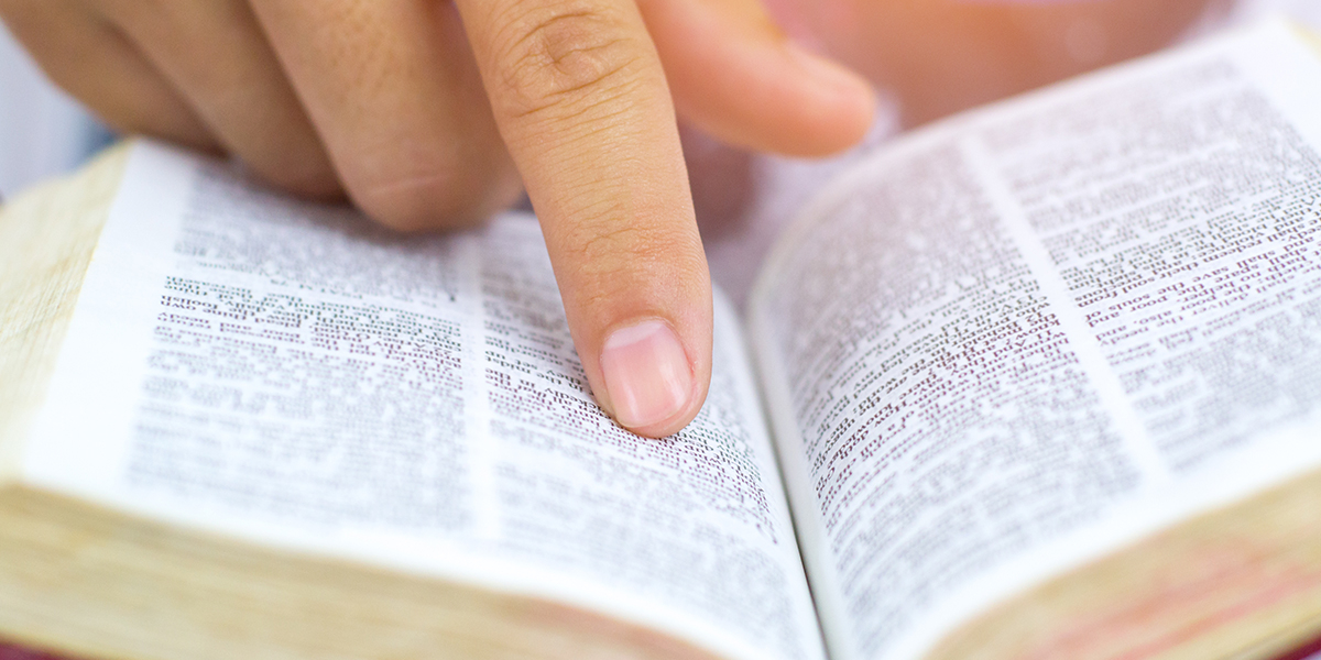 https://arquimedia.s3.amazonaws.com/375/vicaria/web3-man-hand-finger-bible-book-shutterstockjpg.jpg